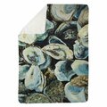 Begin Home Decor 60 x 80 in. Oyster Shells-Sherpa Fleece Blanket 5545-6080-CO164